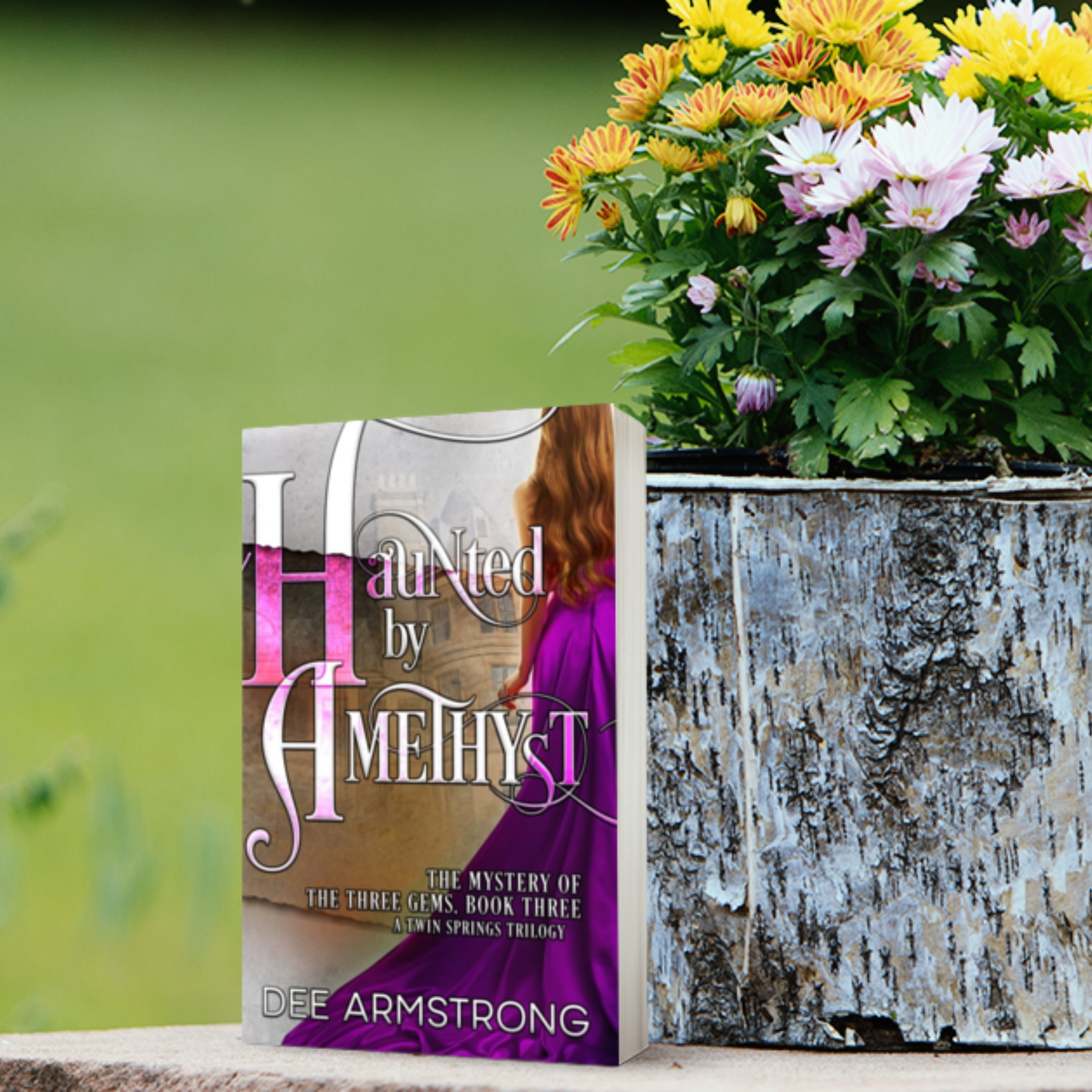 Book titled 'Haunted by Amethyst' by Dee Armstrong with a potted plant in the background