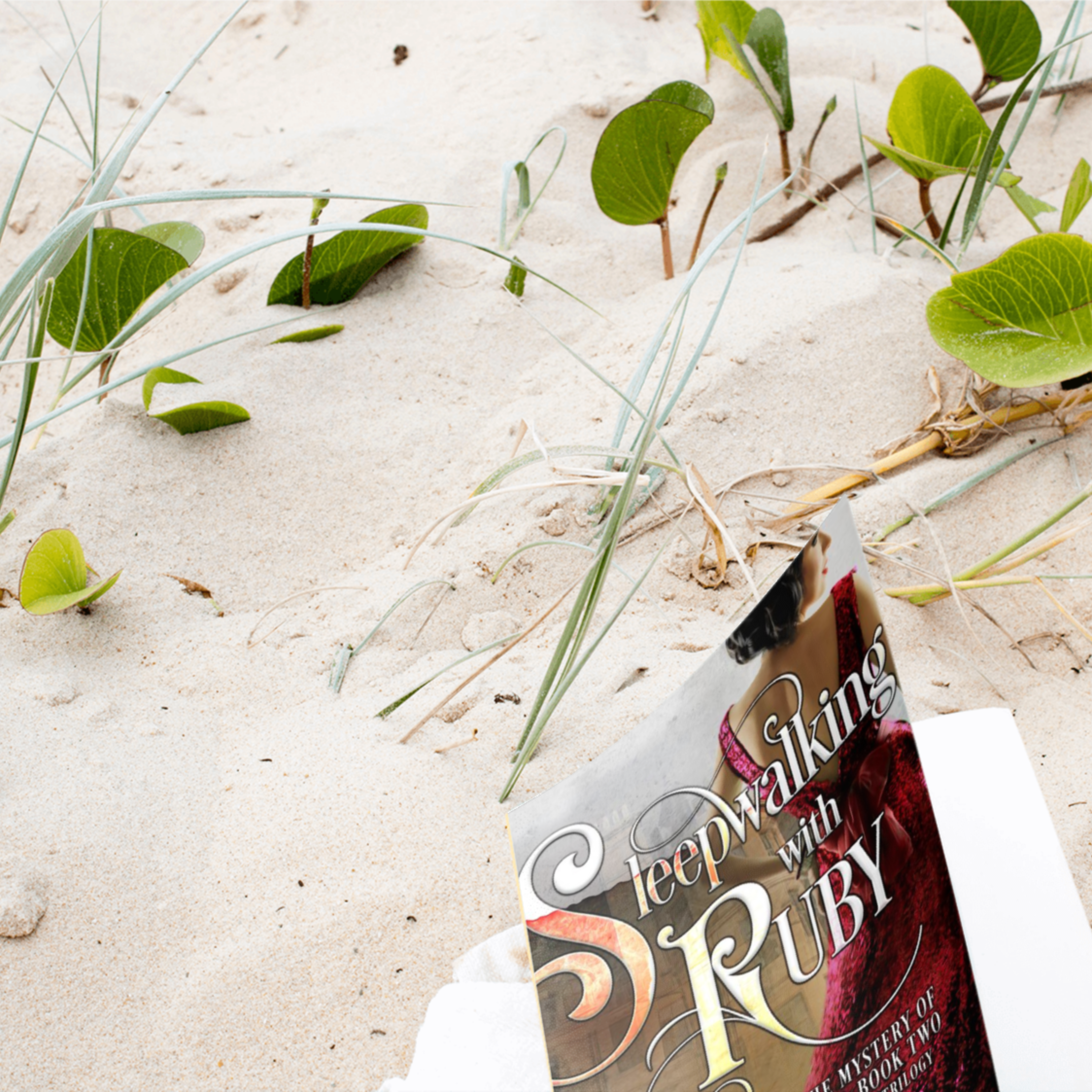 Book titled 'Sleepwalking with Ruby' by Dee Armstrong on sand with grasses